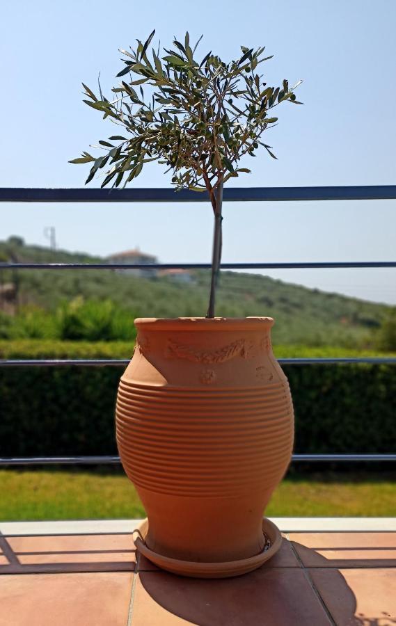 וילה Cozy Small Smart With Private Pool Mikri Mantineia קלמאטה